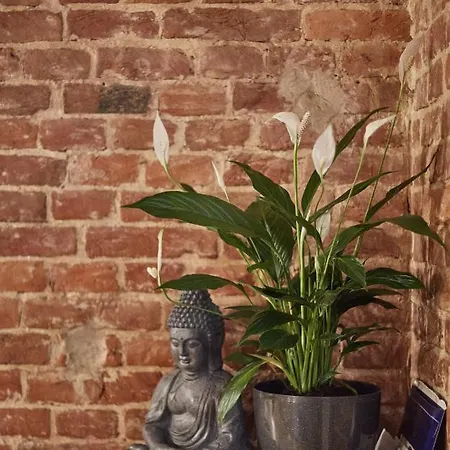 아파트 Shelter 리비프